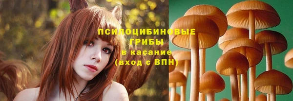 прущая мука Алексеевка