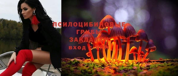 прущая мука Магас