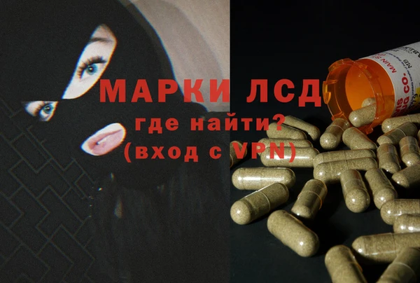 гашик Магадан